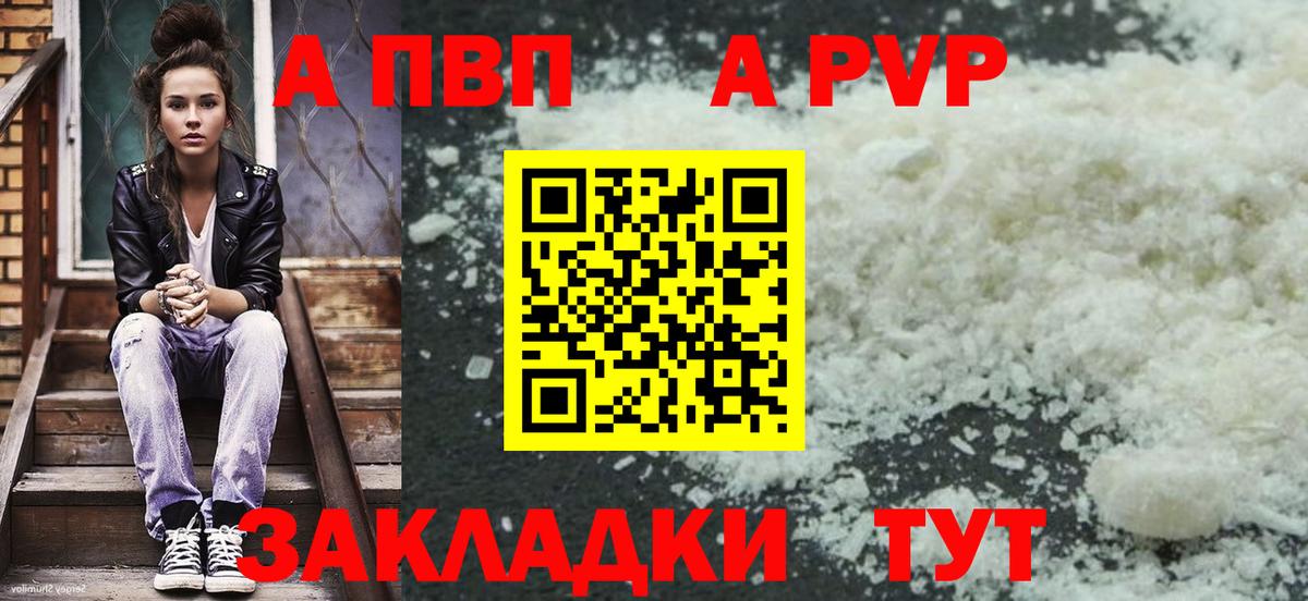 Альфа ПВП СК Шали