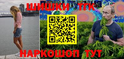 стаф Можга