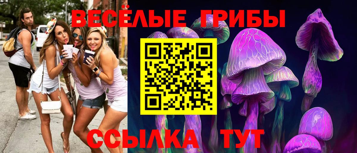 Галлюциногенные грибы мицелий  Вход с VPN  Шали 