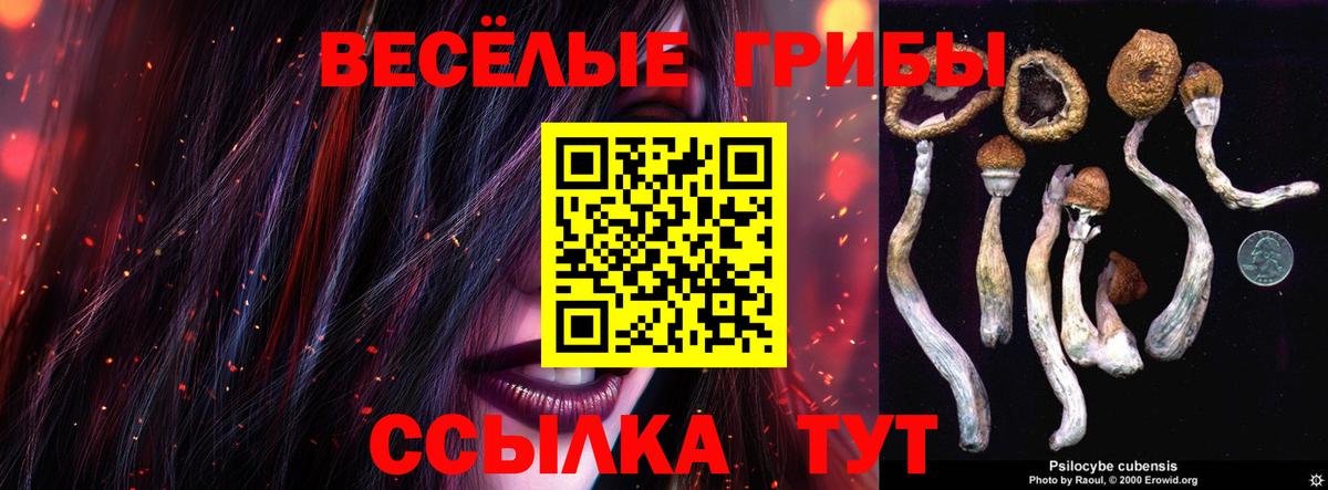 Псилоцибиновые грибы ЛСД Шали